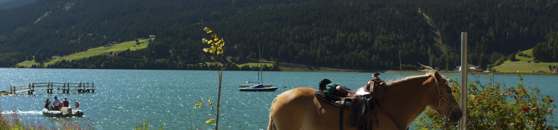 Horse-back riding in the Upper Venosta Valley