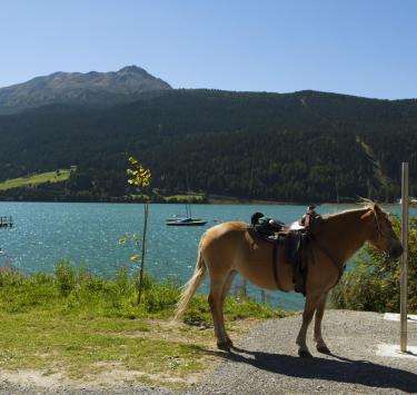 Andare a cavallo nell'Alta Val Venosta