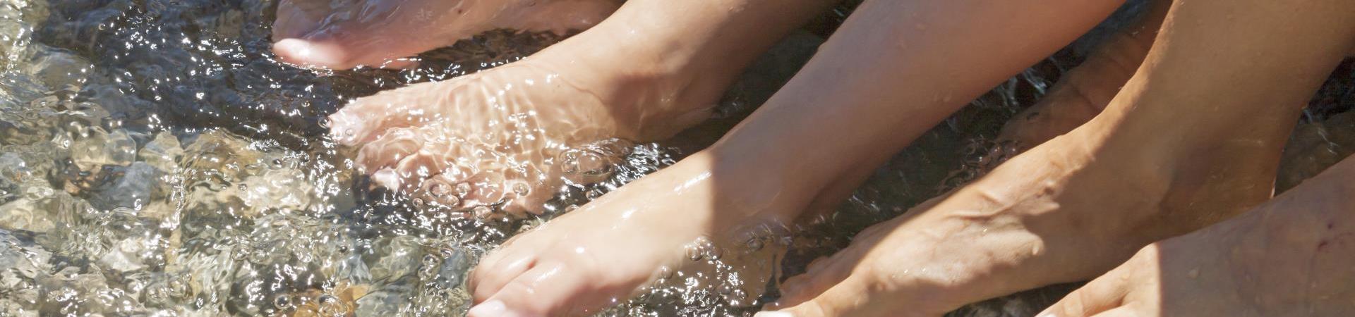 Piedi