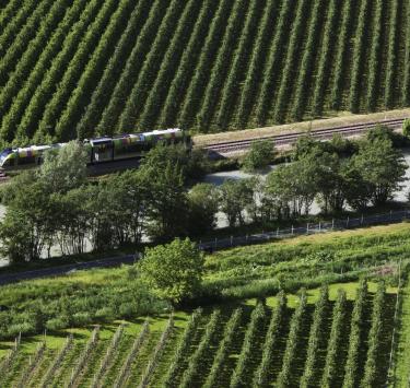 vinschgerbahn-zwischen-apfelwiesen-fb